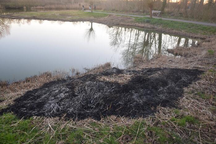 Opnieuw riet in brand gestoken bij Kaaskenswater
