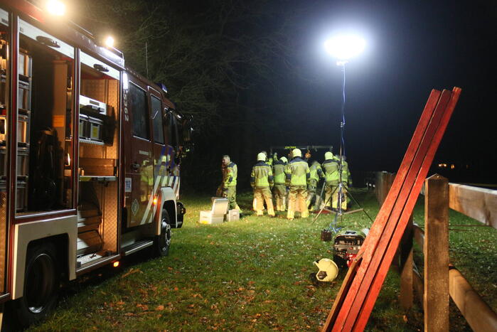Brandweer helpt paard omhoog