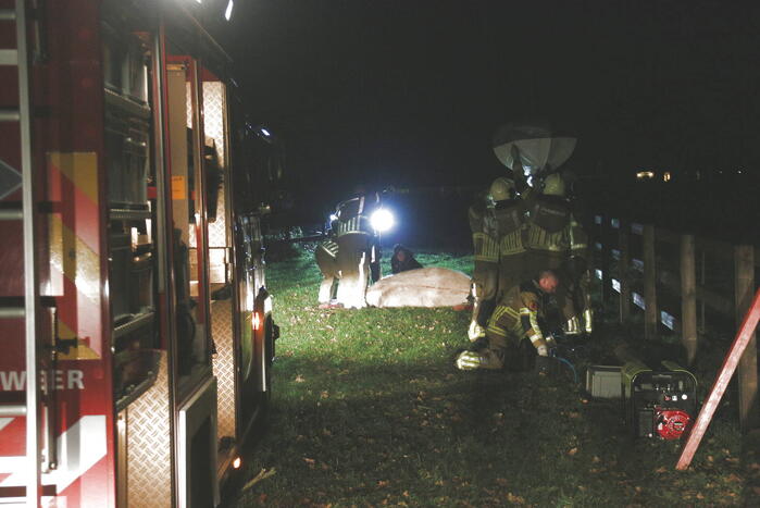 Brandweer helpt paard omhoog