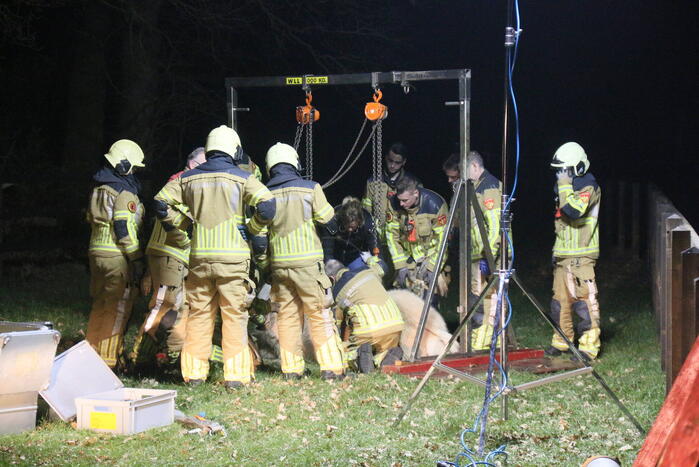 Brandweer helpt paard omhoog