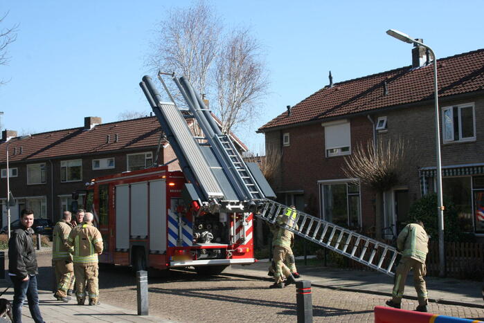 Brandweer haalt kat uit boom