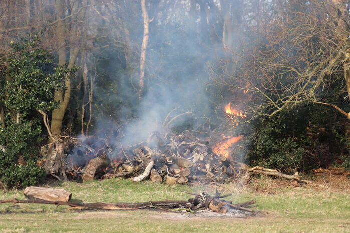 Veel rook bij brand in bosschage