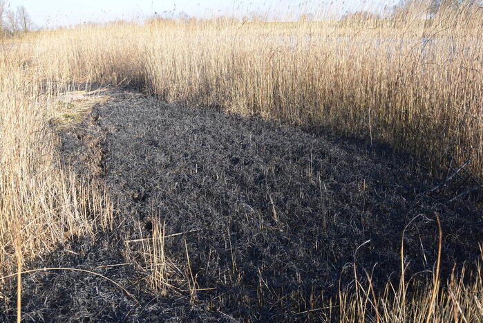 Opnieuw brandstichting bij Kaaskenswater