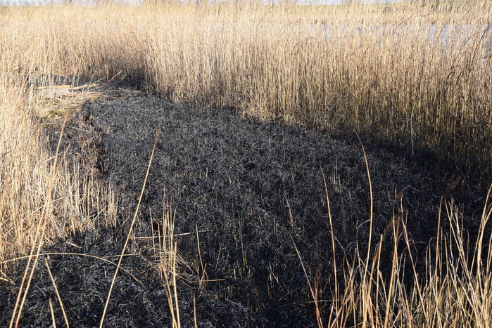 Opnieuw brandstichting bij Kaaskenswater