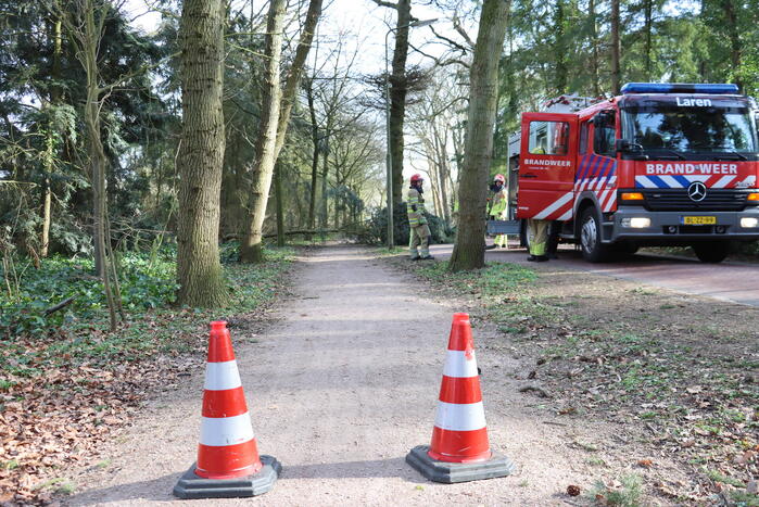Boom zorgt voor gevaarlijke situatie op fietspad