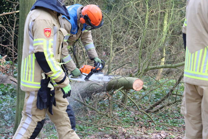 Boom zorgt voor gevaarlijke situatie op fietspad
