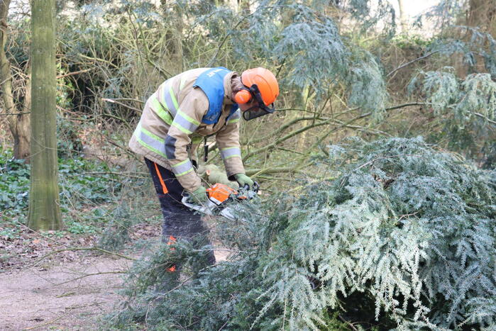 Boom zorgt voor gevaarlijke situatie op fietspad