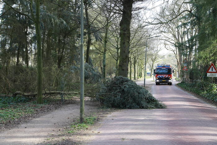 Boom zorgt voor gevaarlijke situatie op fietspad