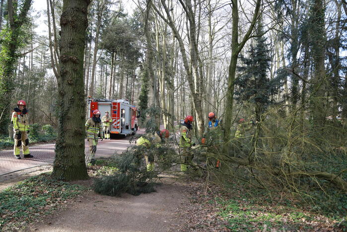 Boom zorgt voor gevaarlijke situatie op fietspad