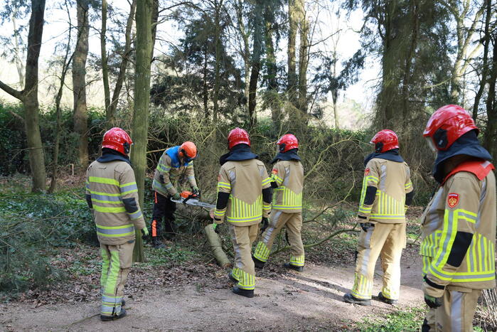 Boom zorgt voor gevaarlijke situatie op fietspad
