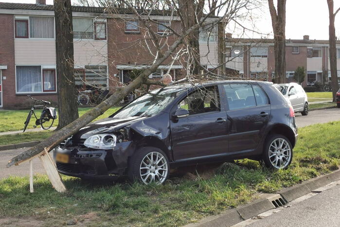 Auto botst tegen boom, inzittende slaat op de vlucht