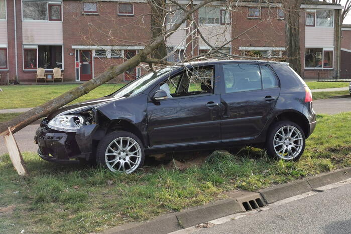 Auto botst tegen boom, inzittende slaat op de vlucht