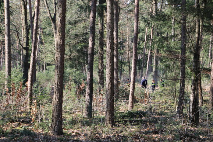 Brandweer blust brand in natuurgebied