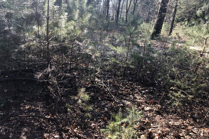 Brandweer blust brand in natuurgebied