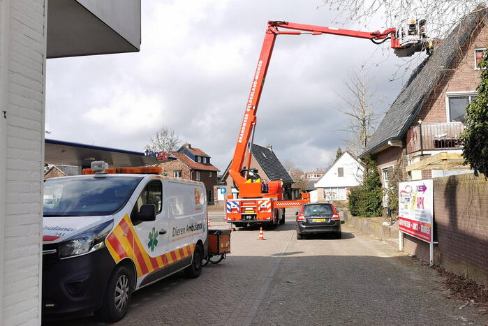 Kauw vast in schoorsteen van woning