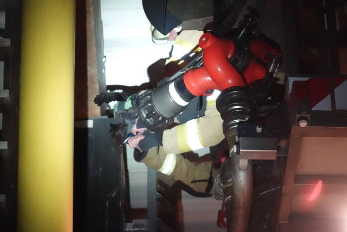 Kraai vast in pui van gebouw