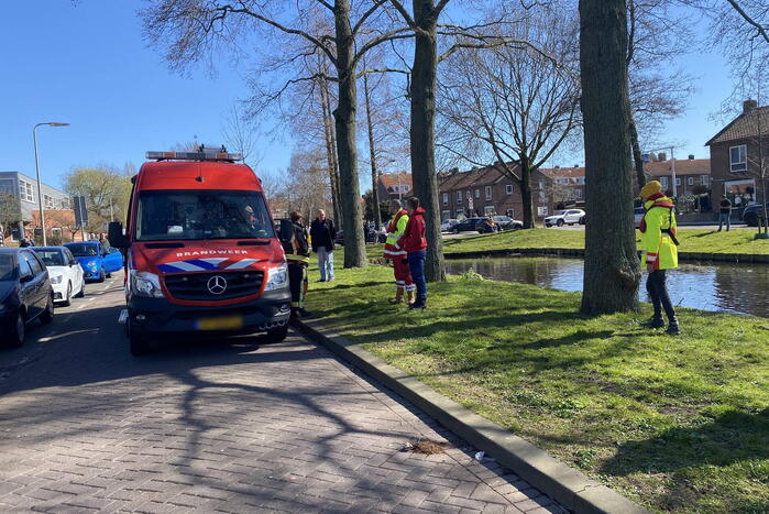 Persoon aangehouden na te water raken met auto