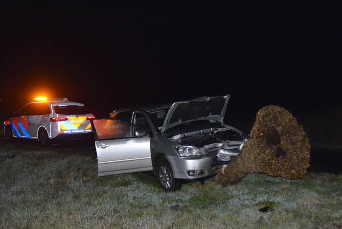 Flinke schade aan auto door botsing tegen boom