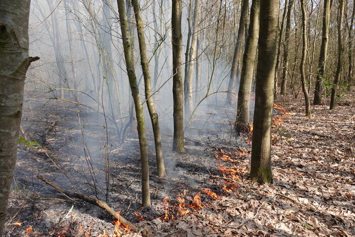 Bosbrand zorgt voor veel rook