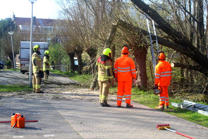 Boom die dreigt om te vallen is omgezaagd