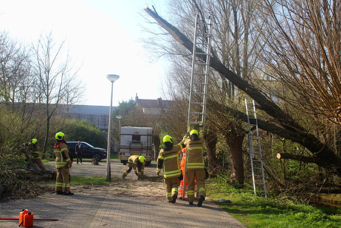 Boom die dreigt om te vallen is omgezaagd