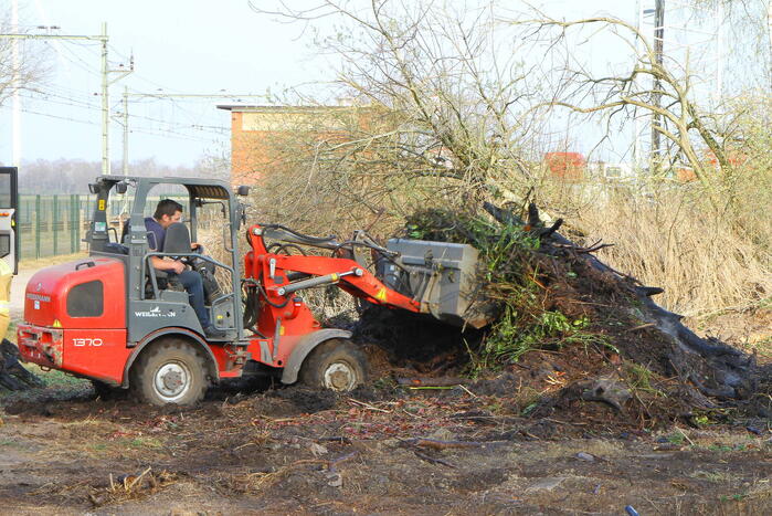 Berg snoeiafval vliegt in brand
