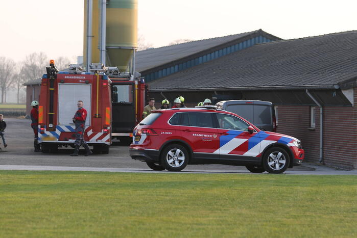Brandweer haalt varken uit gierput