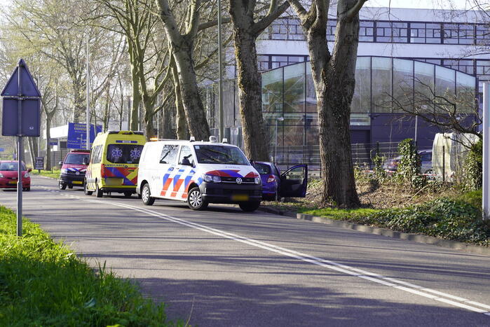 Auto raakt van de weg en botst tegen boom