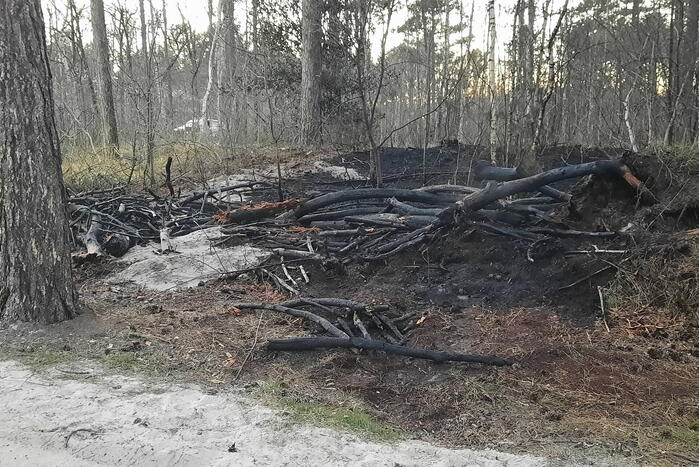 Brand in bosgebied