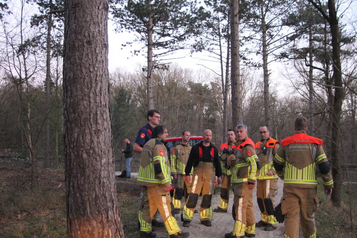 Brand in bosgebied