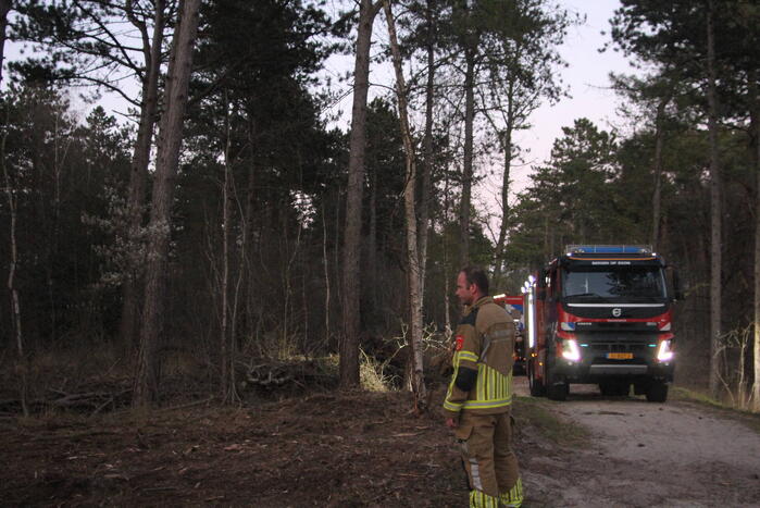 Brand in bosgebied