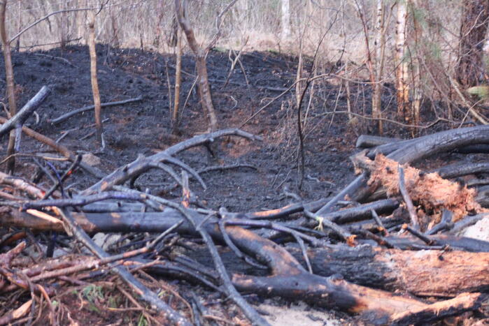 Brand in bosgebied
