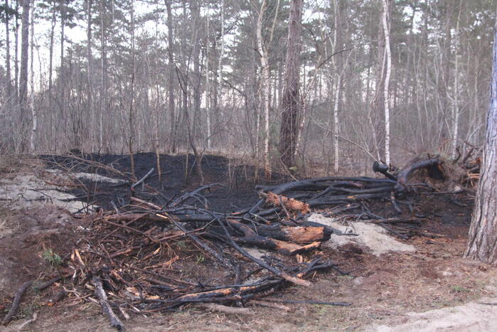 Brand in bosgebied