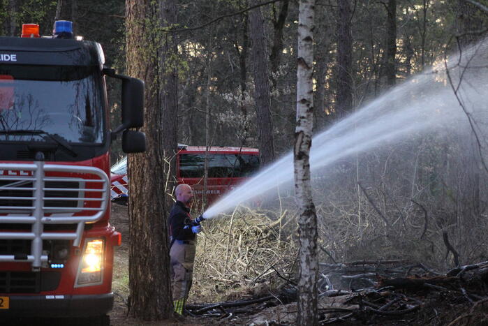 Brand in bosgebied