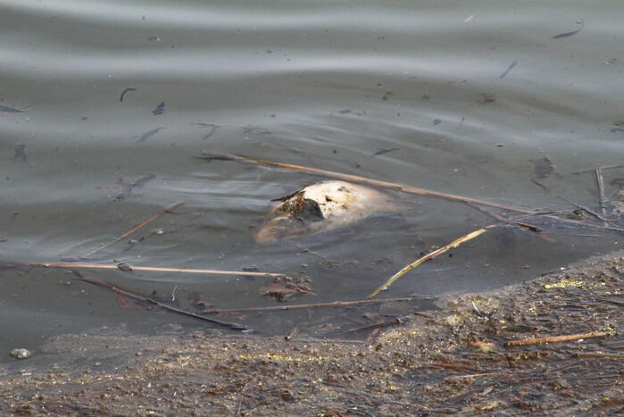 Onderzoek naar verontreiniging
