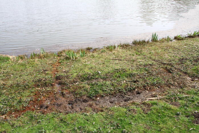 Onderzoek naar verontreiniging