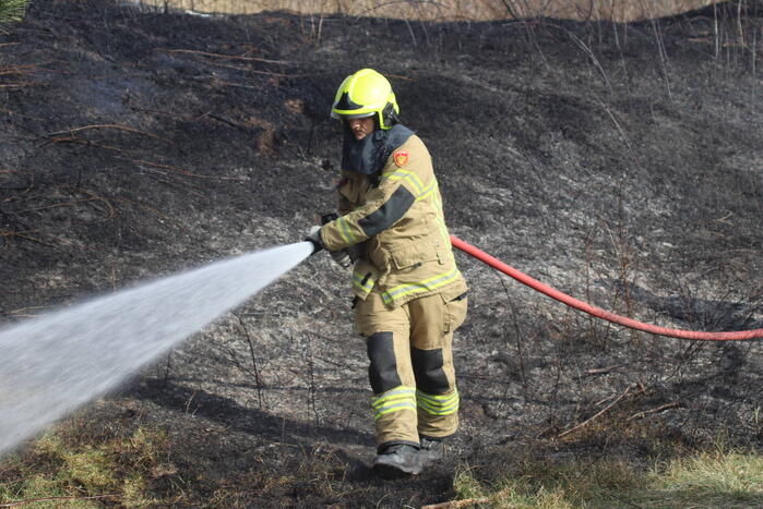 Duinen vanwege brand verwoest