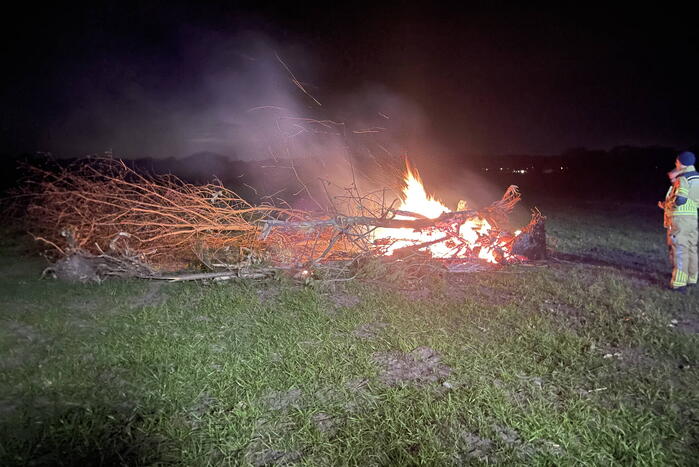 Bomen in brand op weiland