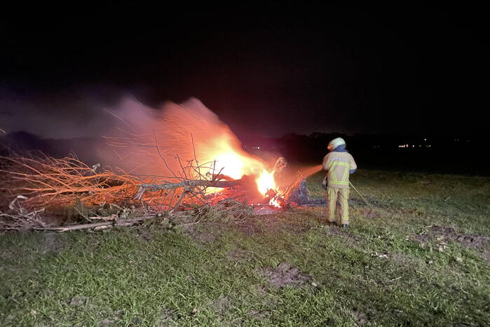 Bomen in brand op weiland