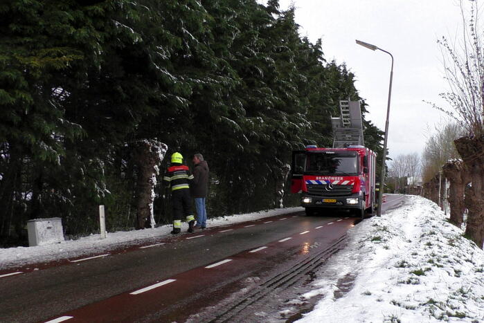 Meerdere bomen dreigen om te vallen
