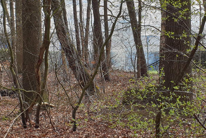 Rookontwikkeling vanwege brand in stuk bosschage