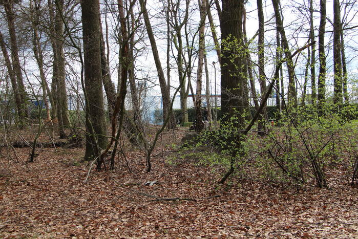 Rookontwikkeling vanwege brand in stuk bosschage