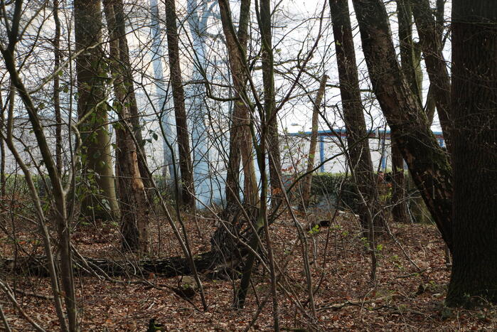 Rookontwikkeling vanwege brand in stuk bosschage