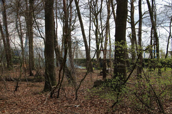 Rookontwikkeling vanwege brand in stuk bosschage