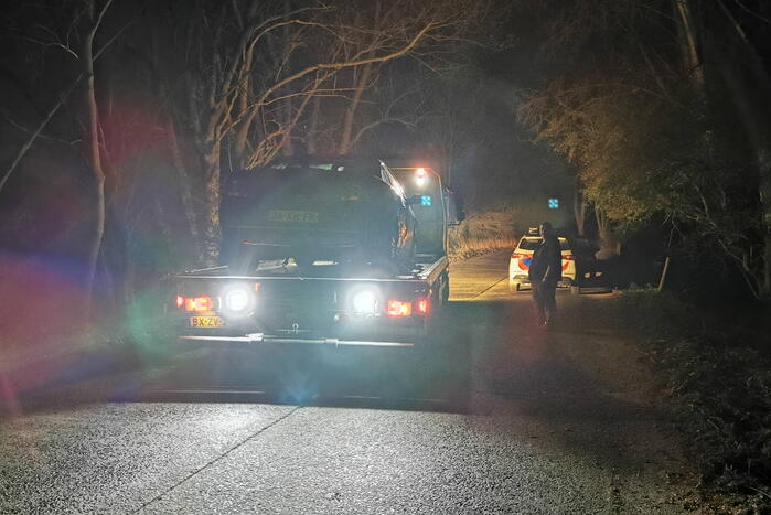 Automobilist wijkt uit voor dier op de weg