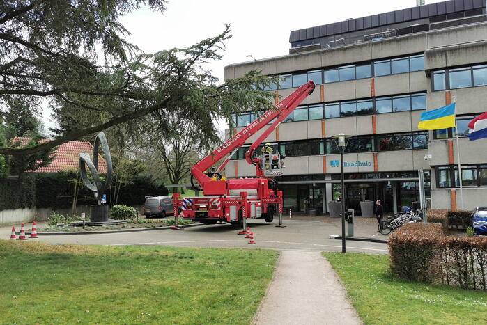Brandweer zaagt gevaarlijk hangende tak uit boom voor gemeentehuis