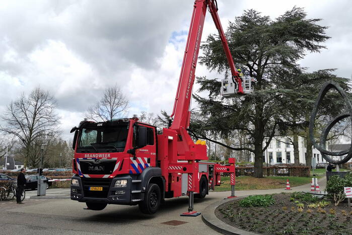 Brandweer zaagt gevaarlijk hangende tak uit boom voor gemeentehuis