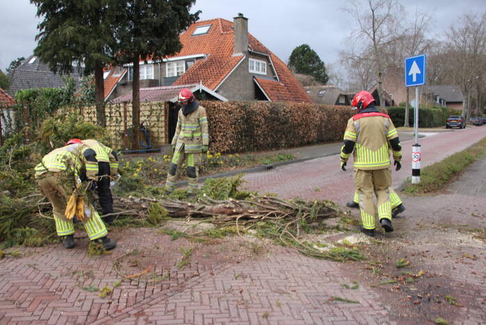 Boom valt vanuit voortuin over straat