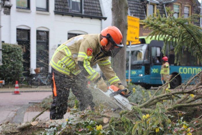 Boom valt vanuit voortuin over straat