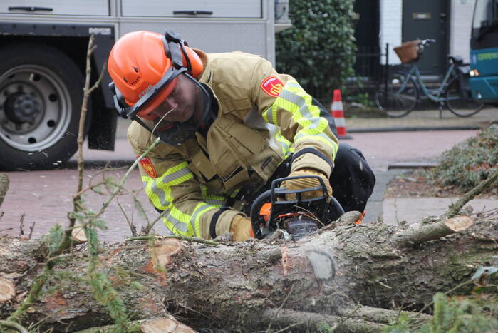 Boom valt vanuit voortuin over straat